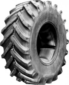 Белшина Ф-81