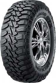 Nexen Roadian MTX RM7
